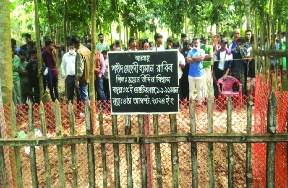 Image of মো: মেহেদী হাসান রাব্বি
